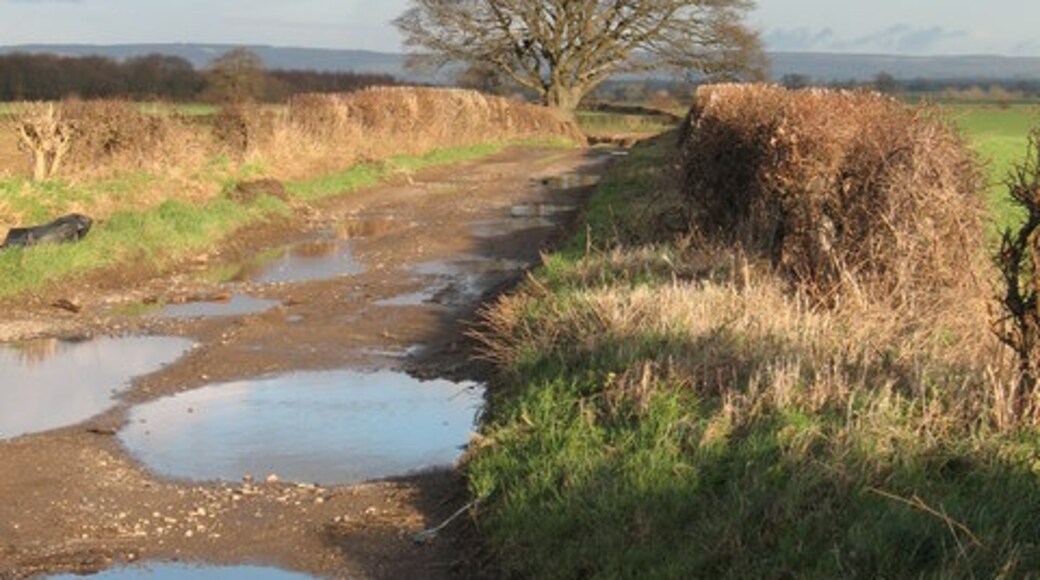 Foto “Kirby Hill” tomada por Gordon Hatton (CC BY-SA); recorte de la original