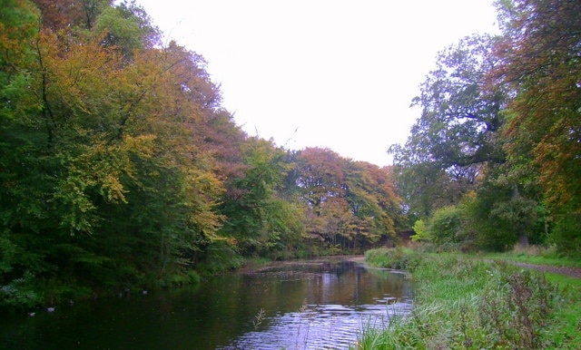 Autumnal Forth and Clyde canal An autumnal scene north east of Cadder on the Forth and Clyde Canal.