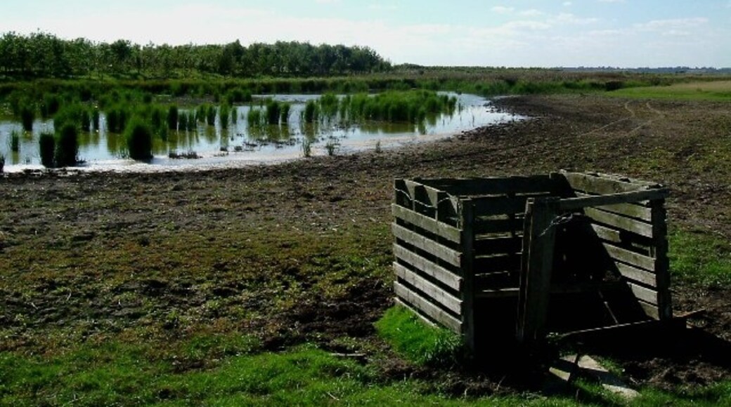 Billede "East Mersea" af Glyn Baker (CC BY-SA) / beskåret fra det originale billede