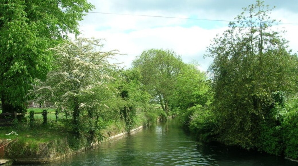 Foto “Foston” tomada por Steve Brown (CC BY-SA); recorte de la original