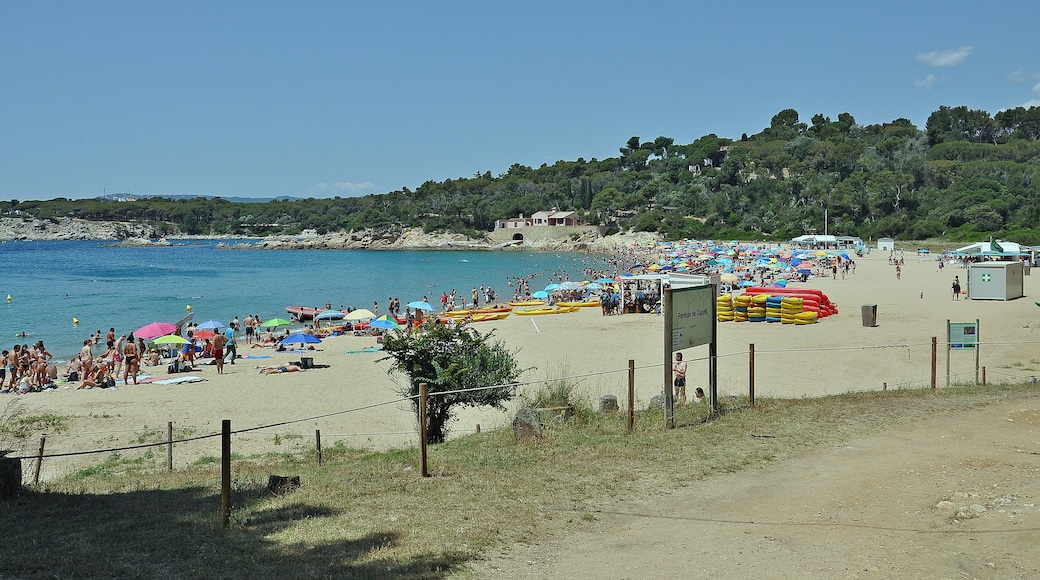 Foto "Playa de Castell" de Alberto-g-rovi (CC BY) / Recortada de la original