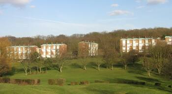 Maisonettes in Kestrel Way Viewed from Goldcrest Way across a strip of parkland that cuts across the middle of New Addington. Perhaps it's appropriate that goldcrests are kept separate from kestrels!