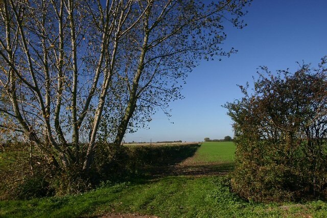 Kuva ”Cottenham” käyttäjältä Bob Jones (CC BY-SA) / rajattu alkuperäisestä kuvasta