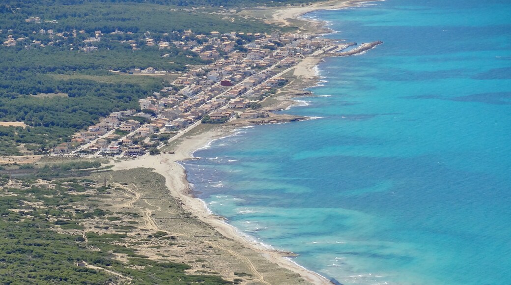 Bildet «Playa Son Serra de Marina» tatt av Oltau (CC BY) / originalbilde beskjært