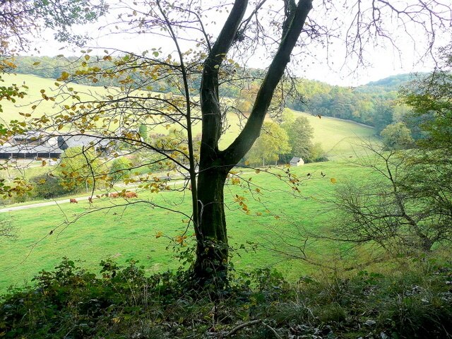 "Stanway"-foto av Jonathan Billinger (CC BY-SA) / Urklipp från original