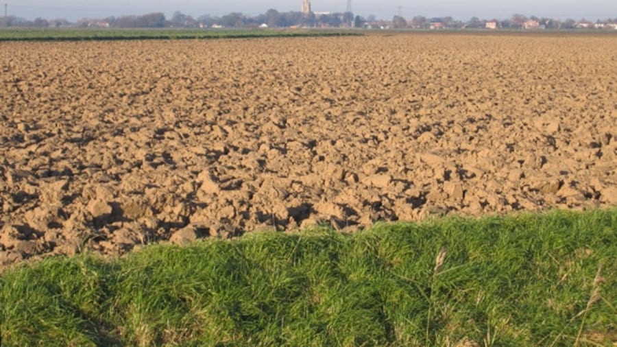 Photo "Farmland near Bicker Bar, Lincs. View N across the square from the A52 Donington Road towards Swineshead church in the distance." by Rodney Burton (Creative Commons Attribution-Share Alike 2.0) / Cropped from original