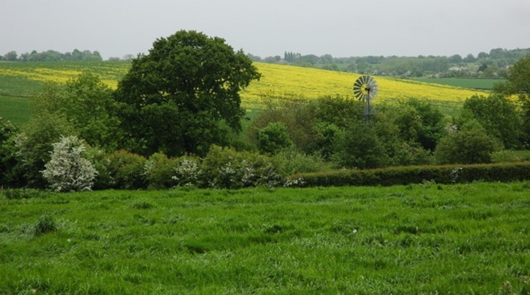 Foto “Grafton Flyford” tomada por Philip Halling (CC BY-SA); recorte de la original