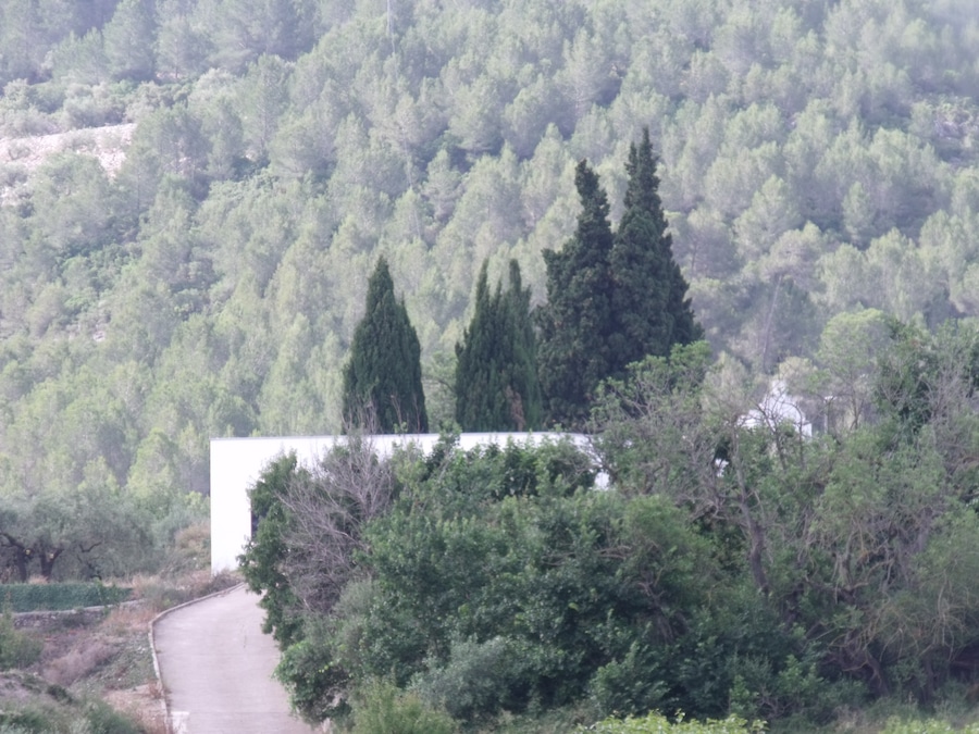 Ayelo de Rugat, Cementerio
