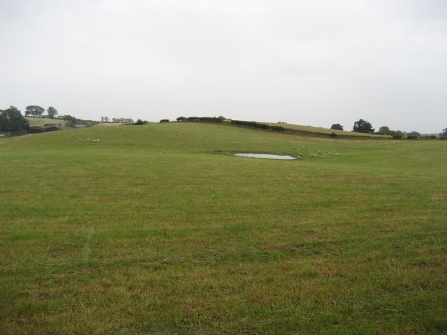 Pasture near Ornhams Hall. Passing through this field while walking from Grafton to the A168, and onto Boroughbridge