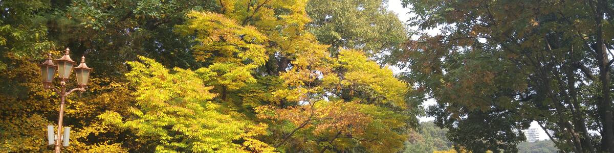 Photo "중앙공원 가을 전경 (11)" by Jocelyndurrey (Creative Commons Attribution-Share Alike 4.0) / Cropped from original