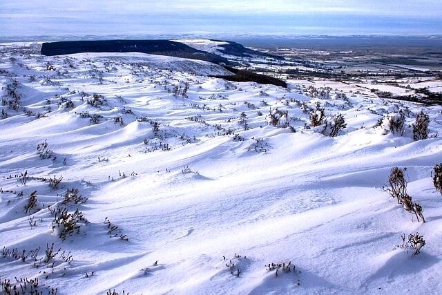 Foto “Carlton” tomada por Mick Garratt (CC BY-SA); recorte de la original