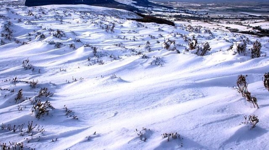 Billede "Carlton" af Mick Garratt (CC BY-SA) / beskåret fra det originale billede
