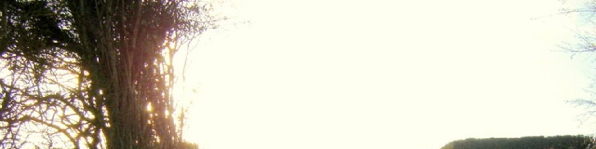 Junction of Ffordd Las and Ffordd y Fron, near Nercwys