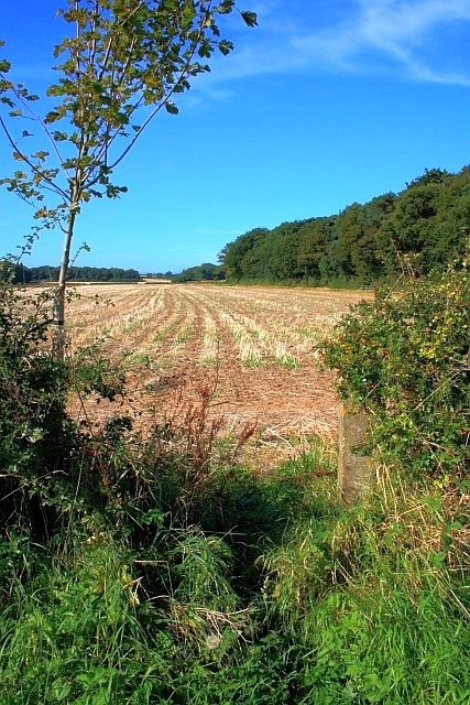 Public Footpath to Trenholme