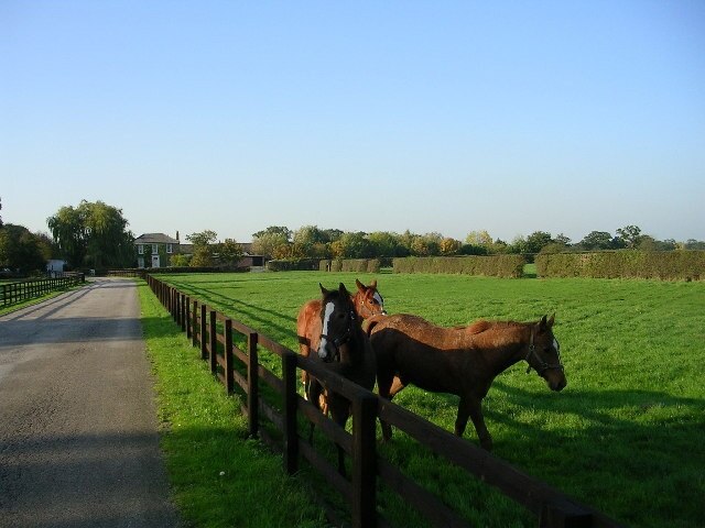 "Huntington"-foto av David Grimshaw (CC BY-SA) / Urklipp från original