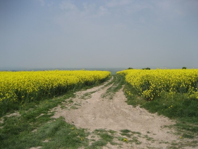 Billede "Easterton" af Chris Heaton (CC BY-SA) / beskåret fra det originale billede