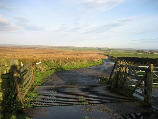 Foto “Eavestone” tomada por Chris Heaton (CC BY-SA); recorte de la original