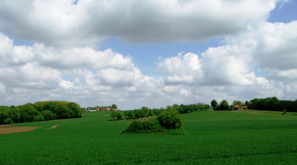 Photo "Heuvelland" by grassrootsgroundswell (CC BY) / Cropped from original
