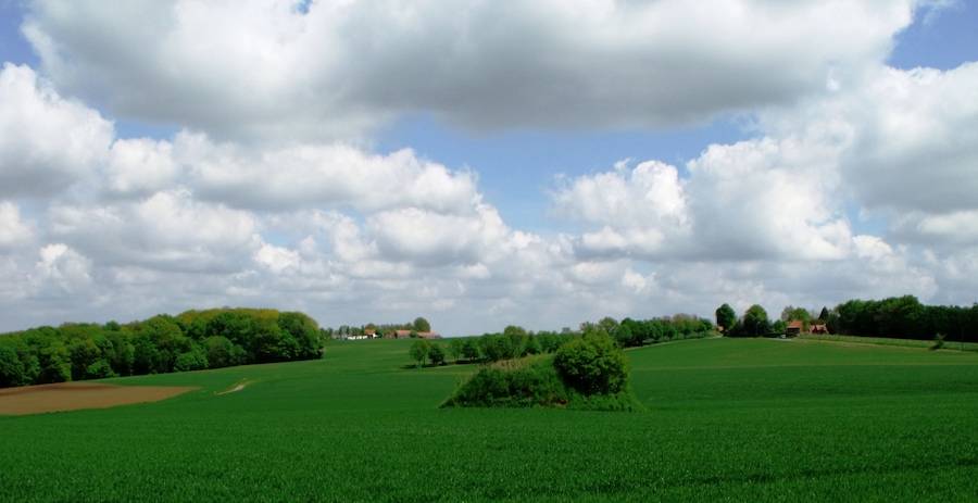Near Rodeberg