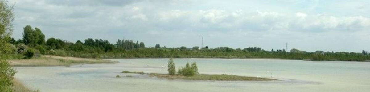 Photo "Neumann's Flash" by Galatas (Creative Commons Attribution-Share Alike 2.0) / Cropped from original