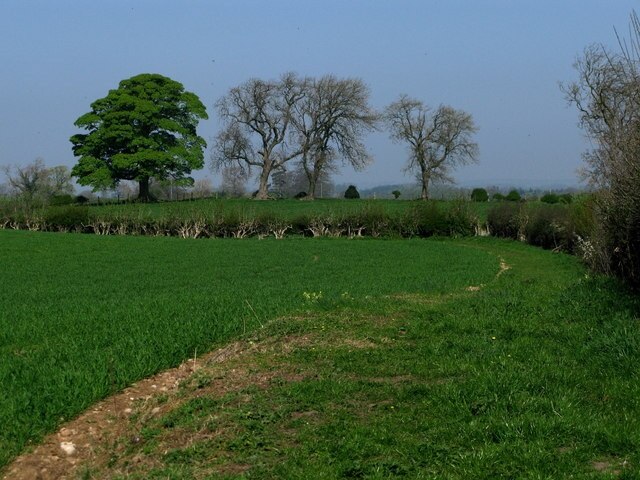 Photo "Markington with Wallerthwaite" by David Rogers (CC BY-SA) / Cropped from original