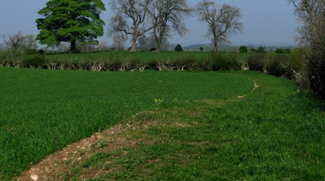 Photo "Markington with Wallerthwaite" by David Rogers (CC BY-SA) / Cropped from original