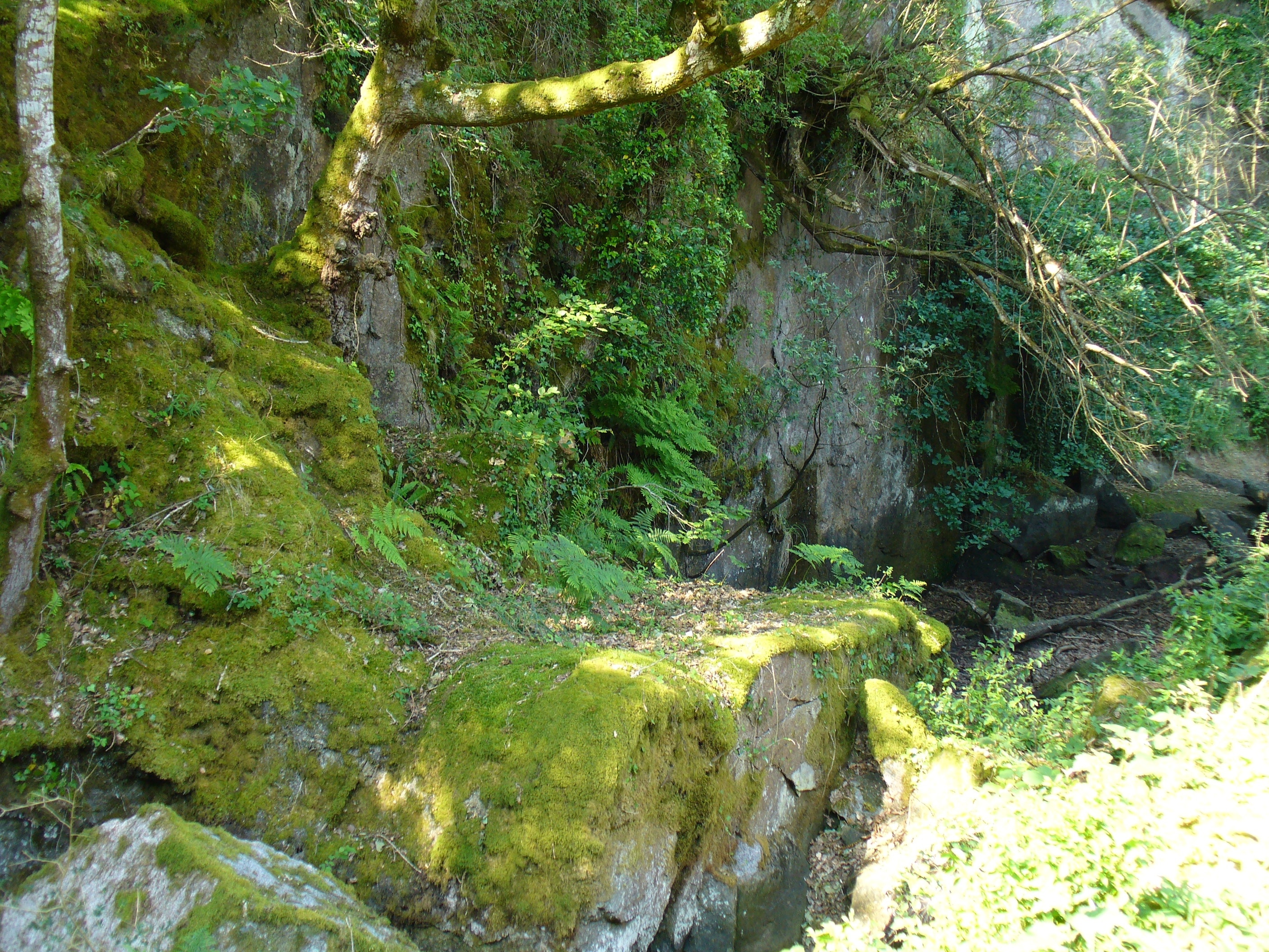 Photo "Plouarzel" by Louis-Julien de la Bouëre (CC BY-SA) / Cropped from original