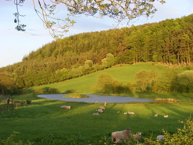 Foto „Stape“ von Stuart Shepherd (CC BY-SA)/zugeschnittenes Original