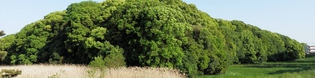 Photo "Ichinoyama Kofun, in Fujiidera, Osaka Prefecture, Japan" by Takanuka (Creative Commons Attribution 3.0) / Cropped from original