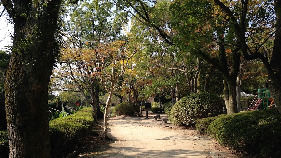 Photo "日吉神社の南側にある柳城児童公園" by そらみみ (Creative Commons Attribution-Share Alike 4.0) / Cropped from original