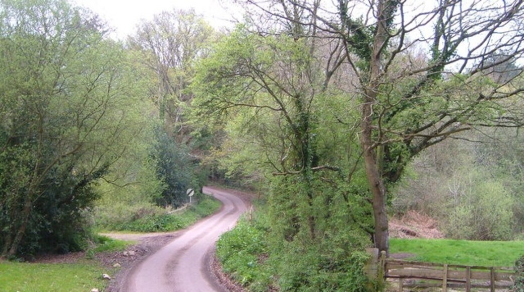 Foto “West Hill” tomada por Derek Harper (CC BY-SA); recorte de la original