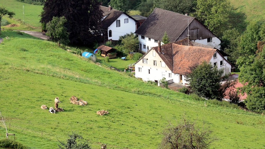 Photo "Neuravensburg (Wangen), view from the ruined castle to the houses at the Hagmühlenweg" by Dguendel (page does not exist) (Creative Commons Attribution 3.0) / Cropped from original