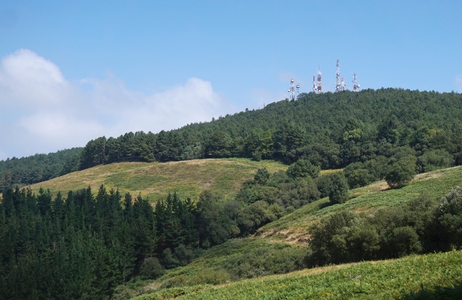 View of forest and hill in Basque Country near Etxebarri.