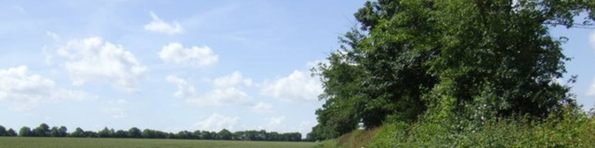 Photo "Muddy bridleway by Sycamore Farm The path follows field edges like this as far as Chapel Farm." by Jonathan Billinger (Creative Commons Attribution-Share Alike 2.0) / Cropped from original