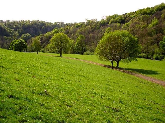 Farmland in the Wye Valley Looking towards the cliffs (distant on the left) at Symonds Yat. The Wye Valley Walk runs diagonally across the picture.