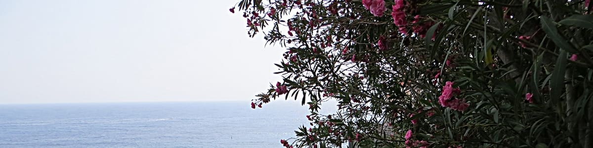 Photo "Castiglione" by Mister No (Creative Commons Attribution 3.0) / Cropped from original