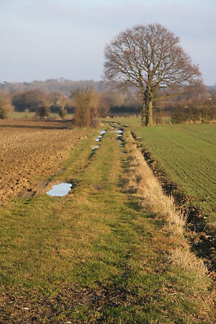 Foto "Bradfield Combust com Stanningfield" de Bob Jones (CC BY-SA) / Recortada do original