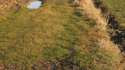 Foto „Bradfield Combust mit Stanningfield“ von Bob Jones (CC BY-SA)/zugeschnittenes Original