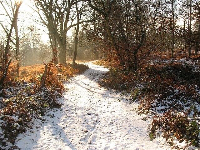 Foto „Richard's Castle“ von Richard Webb (CC BY-SA)/zugeschnittenes Original