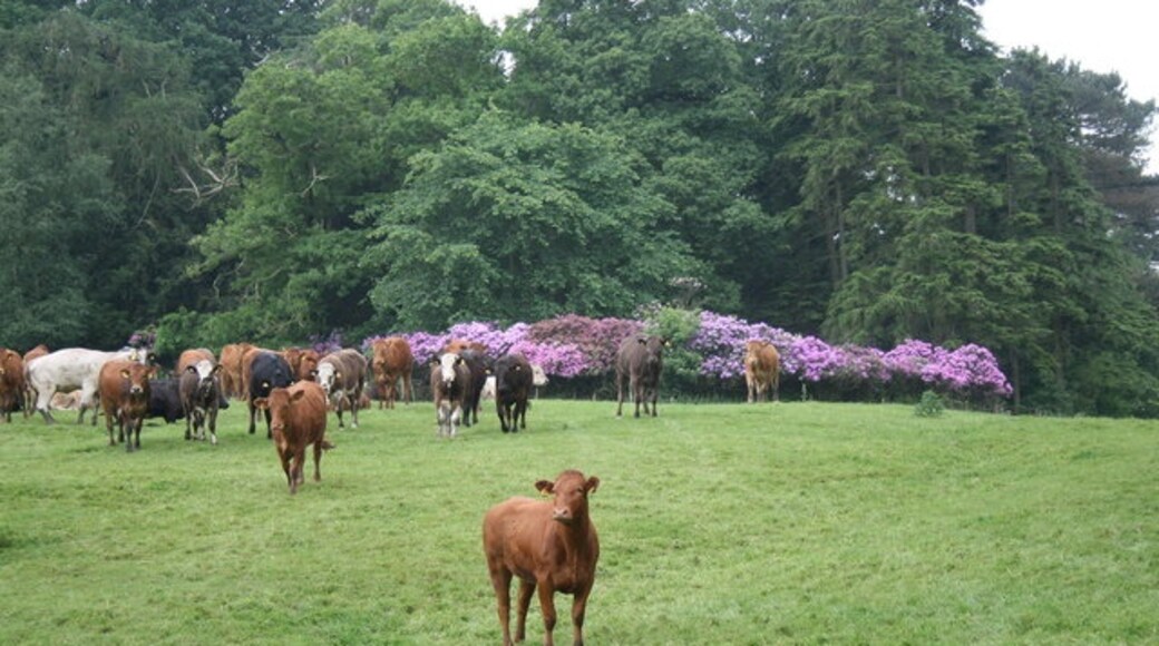 "Westwick"-foto av David Rogers (CC BY-SA) / Urklipp från original