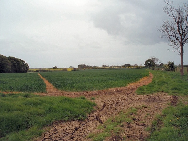 Footpaths Footpaths (left to right) and bridleway (behind photographer, leading up into the picture) cross over. The edge of Halse Copse can be seen on the left.