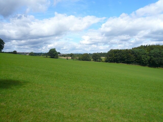 Linacre View Fields and woodland as seen from top car park.