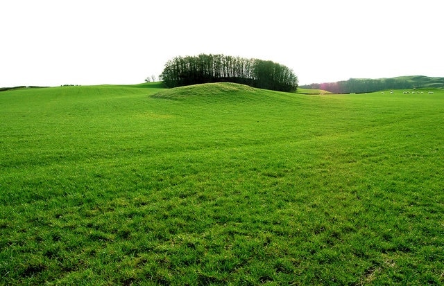 The undulating emerald greenery of Galloway