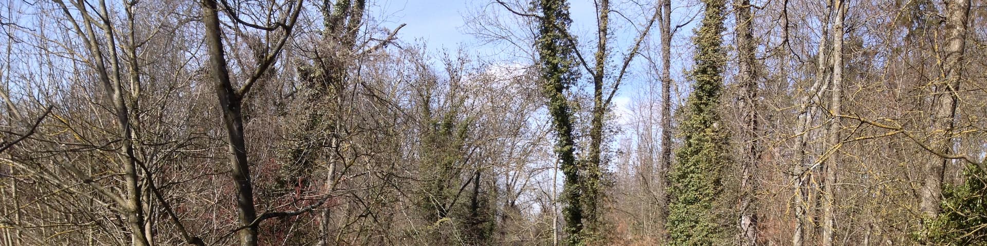 Bussigny-près-Lausanne, Cantão de Vaud, Suíça