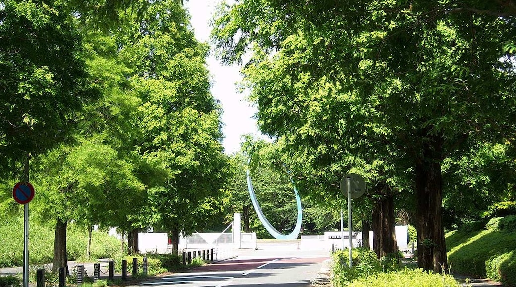 A street to the main entrance of Chiba New Town Campus, Tokyo Denki University, located in Inzai, Chiba Prefecture, Japan.