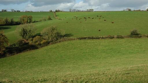 Philip Halling (CC BY-SA) 的「弓村」相片 / 由原圖裁切