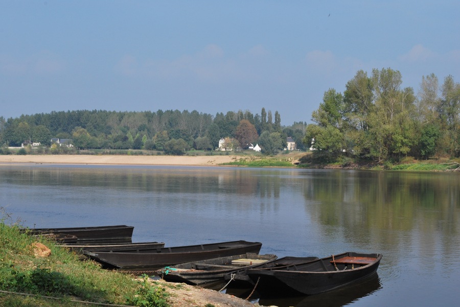 The Vienne river seen from Candes-St-Martin, near the confluence with the Loire