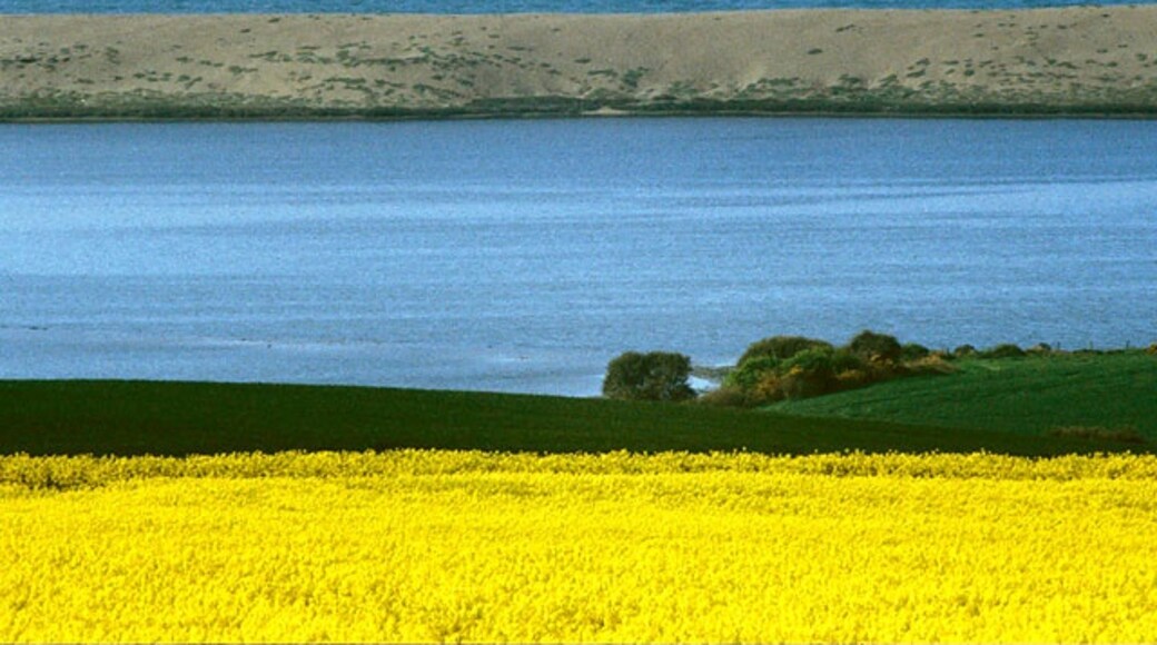 "Langton Herring"-foto av Bob Ford (CC BY-SA) / Urklipp från original