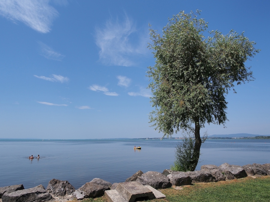 Lake Constance shore at Eriskirch