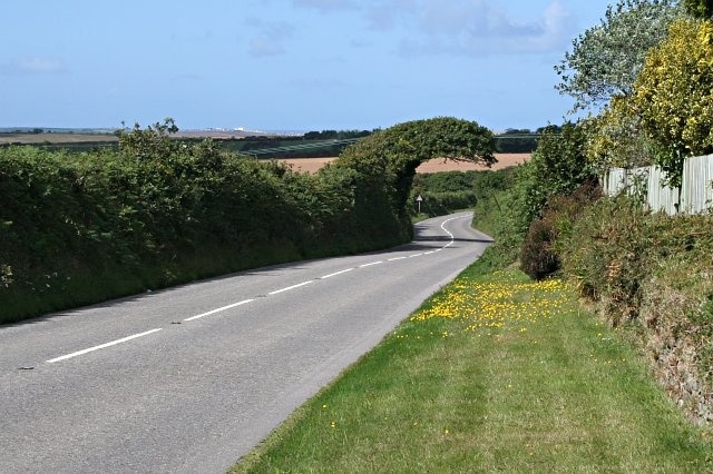 The Road to Newquay. The strange shaped tree growing over the road seems to have been bent over by the prevailing southwest wind and cropped underneath by lorries. It looks something like a breaking wave, quite appropriate really as the white dots on the horizon are buildings in Newquay.